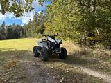 Can-Am Renegade 650 - QUAD 650