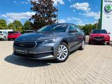 Skoda OCTAVIA SELECTION 1.5TSI mHEV NAVI+MATRIX-LED - Skoda Octavia aus 2025