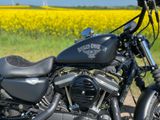Harley-Davidson IRON 883 Sportster  - Angebote entsprechen deinen Suchkriterien