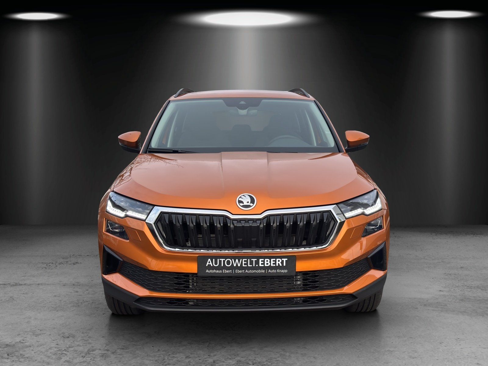 Fahrzeugabbildung SKODA Karoq Tour 1,5 TSI 110 kW DSG