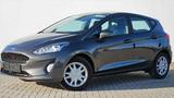 Ford Fiesta VIII 1,1 Klima Link PDC Winterpaket - Ford Fiesta: Vi