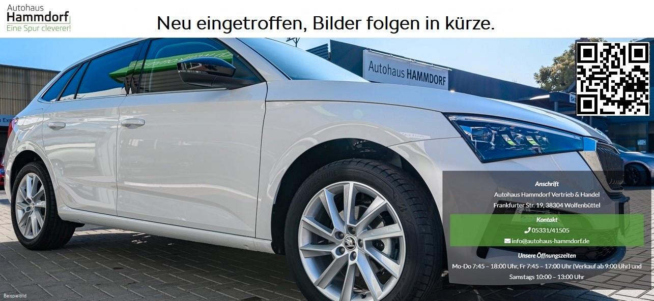 Skoda Scala 1.0 TSI 130 Jahre SHZ/PDC/KAMERA