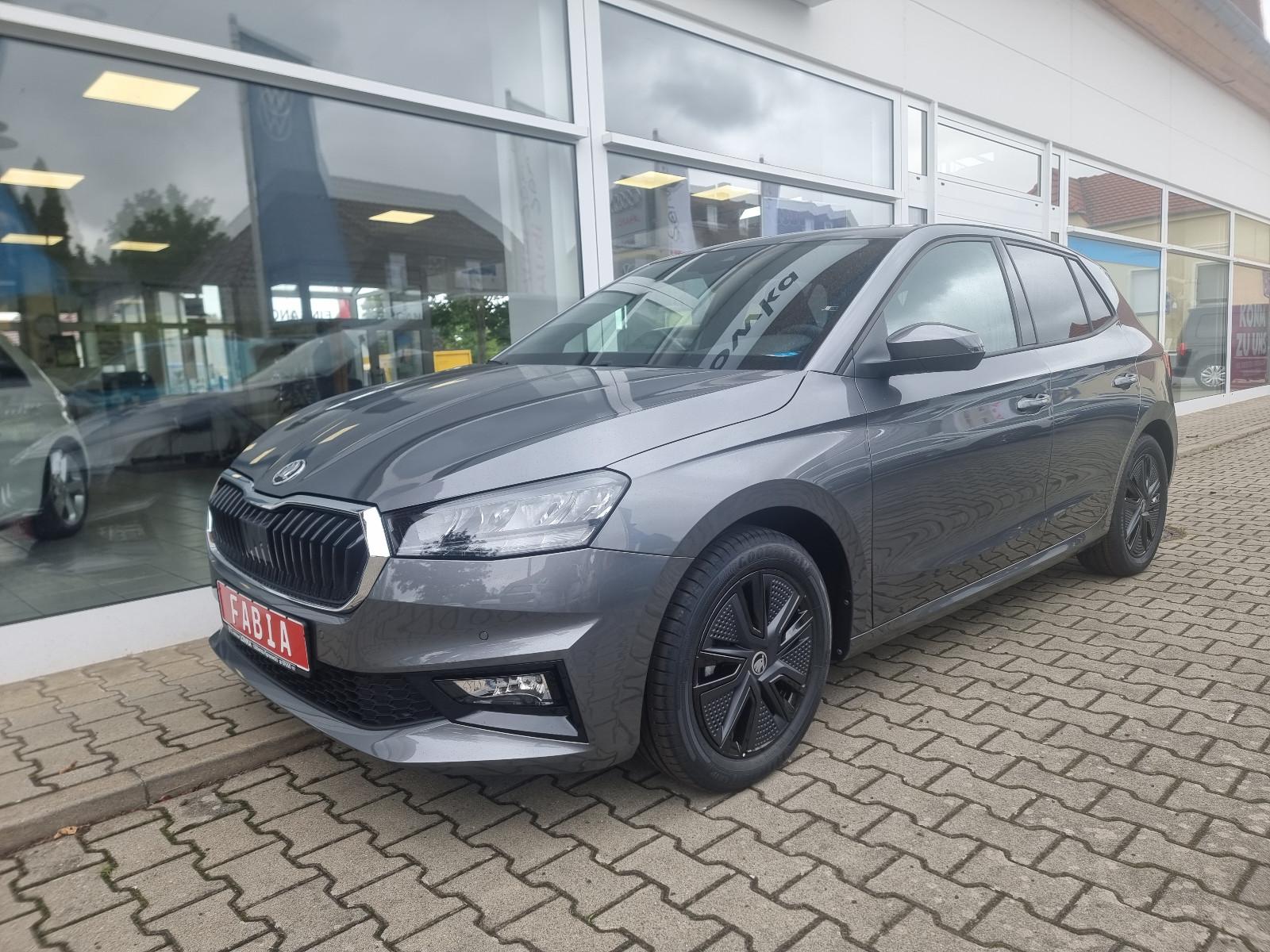 Skoda Fabia 1.0 TSI Dynamic/Lenkradhzg./RFK/Smartlink