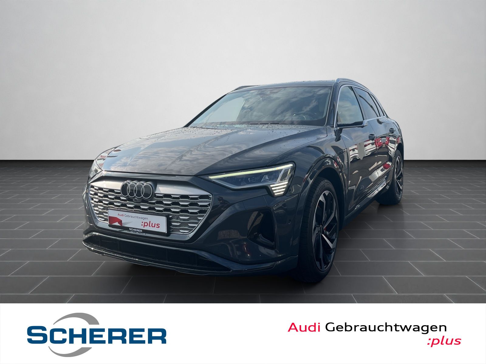 Audi Q8 55 e-tron Advanced quattro Matrix-LED/Panoram
