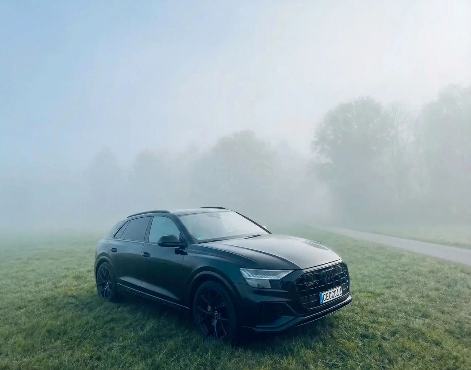 AUDI Audi SQ8 TDI quattro tiptronic | Voll 