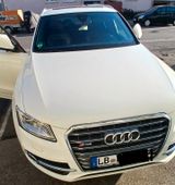 Audi SQ5 3.0 TDI tiptronic quattro - - Audi SQ5 Gebrauchtwagen in Stuttgart