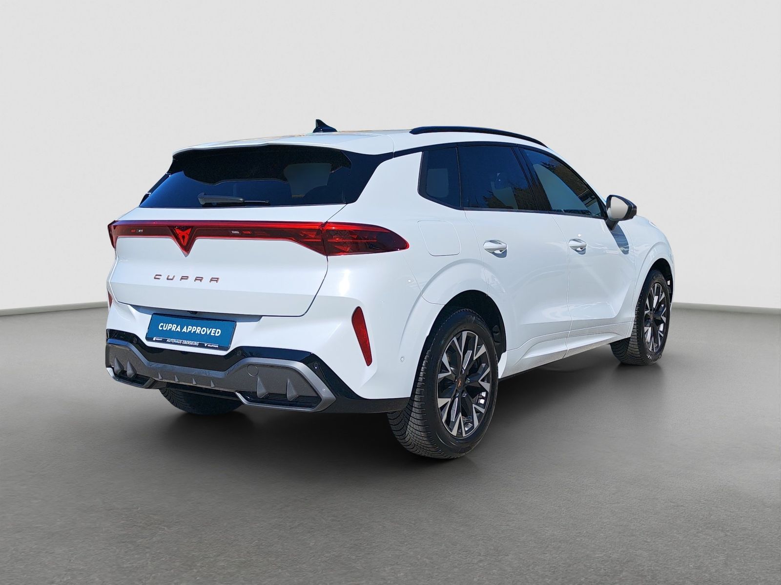 Cupra Terramar - Bild 6