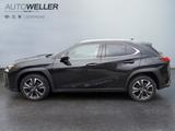 Lexus UX 250h Style Edition *Bi-LED*ACC*CAM*SHZ*CarPla - Lexus in Dortmund