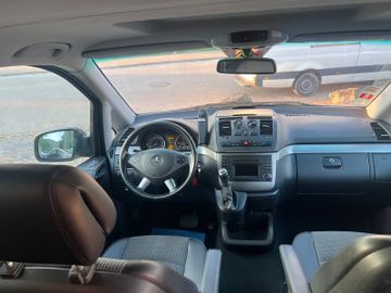 Mercedes Viano - 8
