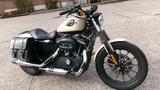 Harley-Davidson Sportster Iron XL883N XL2 - HARLEY-DAVIDSON SPORTSTER XL 883 N IRON