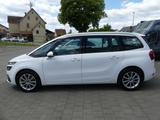 Citroën C4 Grand Picasso/Spacetourer Selection | PDC  - Citroën C4: 7sitzer