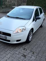 Fiat Punto 1.2 8V - - Fiat Punto in Solingen
