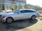 Mercedes-Benz CLS Shooting Brake CLS 250  4Matic+Leder+Navi - Mercedes-Benz CLS Shooting Brake Gebrauchtwagen