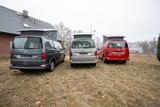 Volkswagen T6.1 California 2.0 TDI Camper FLA KAM LED - Volkswagen T6 California Neuwagen