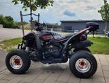 Aeon Cobra 422 SX LOF 8fach LMTD-GRAU - Aeon Cobra 422