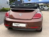 Volkswagen Beetle Cabrio Allstar NAVI/KAMERA/STANDHEIZ - Volkswagen Beetle: Allstar