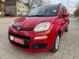 Fiat Panda Lounge*Elkt.Fenster*Eco*Klima*Radio*59tkm - Fiat Panda: Automatik