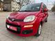 Panda Lounge*Elkt.Fenster*Eco*Klima*Radio*59tkm