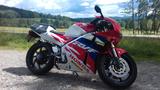 Honda RVF 400 RR - SPORTLER VON 251 BIS 500 CCM