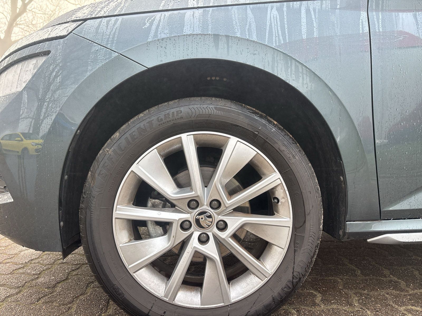 Fahrzeugabbildung SKODA Kamiq  1.0 TSI  Style Navi beh.Frontscheibe