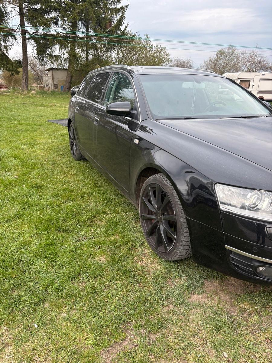 Audi A6 2005 — rear view