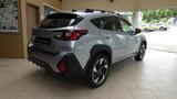 Subaru Crosstrek - silberne Subaru Crosstrek