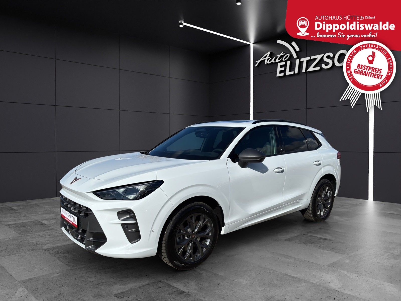 Fahrzeugabbildung CUPRA Terramar TSI 4x4 AHZ MatrixLED PanoDach Keyless