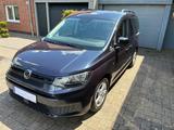 Volkswagen Caddy 2,0TDI 90kW 4MOTION Life- APP-Connect  - VW Caddy Gebrauchtwagen in Münster