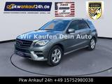 Mercedes-Benz ML 250 ML ML 250 CDI BlueTec - Mercedes-Benz ML 250: Silber