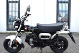 Honda DAX  ST 125 MY25 6 Jahre Garantie TZ 10/25 - HONDA DAX 125
