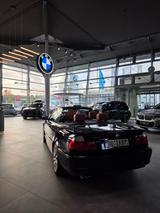 BMW 320Ci Cabrio BMW individual TOP Gepflegt 3. Hd - BMW 320 in Dortmund
