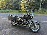 Moto Guzzi California Stone Tour  - MOTO GUZZI STONE