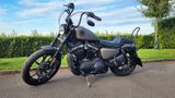 Harley-Davidson Sportster Iron XL883N - HARLEY-DAVIDSON SPORTSTER XL 883 N IRON