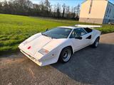Andere lamborghina Countach Replica Replika viell... - Andere Replica mit Benzin-Antrieb