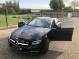 Mercedes-Benz CLS 350 CDI BlueEFFICIENCY - - Mercedes-Benz CLS 350: Blueefficiency