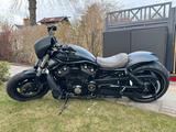 Harley-Davidson VRSCDX - HARLEY-DAVIDSON VRSCDX