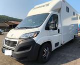 Peugeot Boxer Stablehopper Pferdetransporter