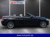 BMW 218i Cabrio Luxury Leder LED Nav Sitzhz Klima - : Braun, Ambiente-Beleuchtung