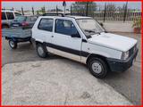 Fiat FIAT PANDA 1.0 FIRE+ GANCIO E CARRELLO OMOLOGATO - gebrauchte Fiat Panda aus dem Jahr 2001