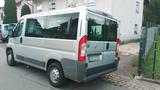 Fiat Ducato 2,3l 9-Sitzer AHK - Fiat Ducato: Kleinbus, Sitzer 9