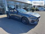 Ford Mustang Convertible 5.0 Ti-VCT V8 328 kW GT Navi - Ford mit Benzin-Antrieb: Cabrio