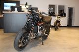 Triumph Trident 660 * 1.Hand, Quickshifter, Griffheizung - TRIUMPH TRIDENT