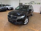 Skoda KodiaqClever4x4 2.0TDI DSG/19"/PARKLENK/GARANTIE - Skoda Kodiaq in Braunschweig