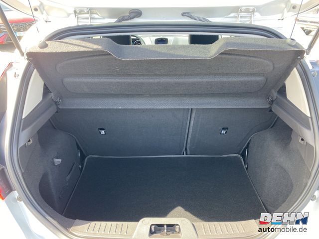 Ford Fiesta 1.25 Celebration Winterpaket