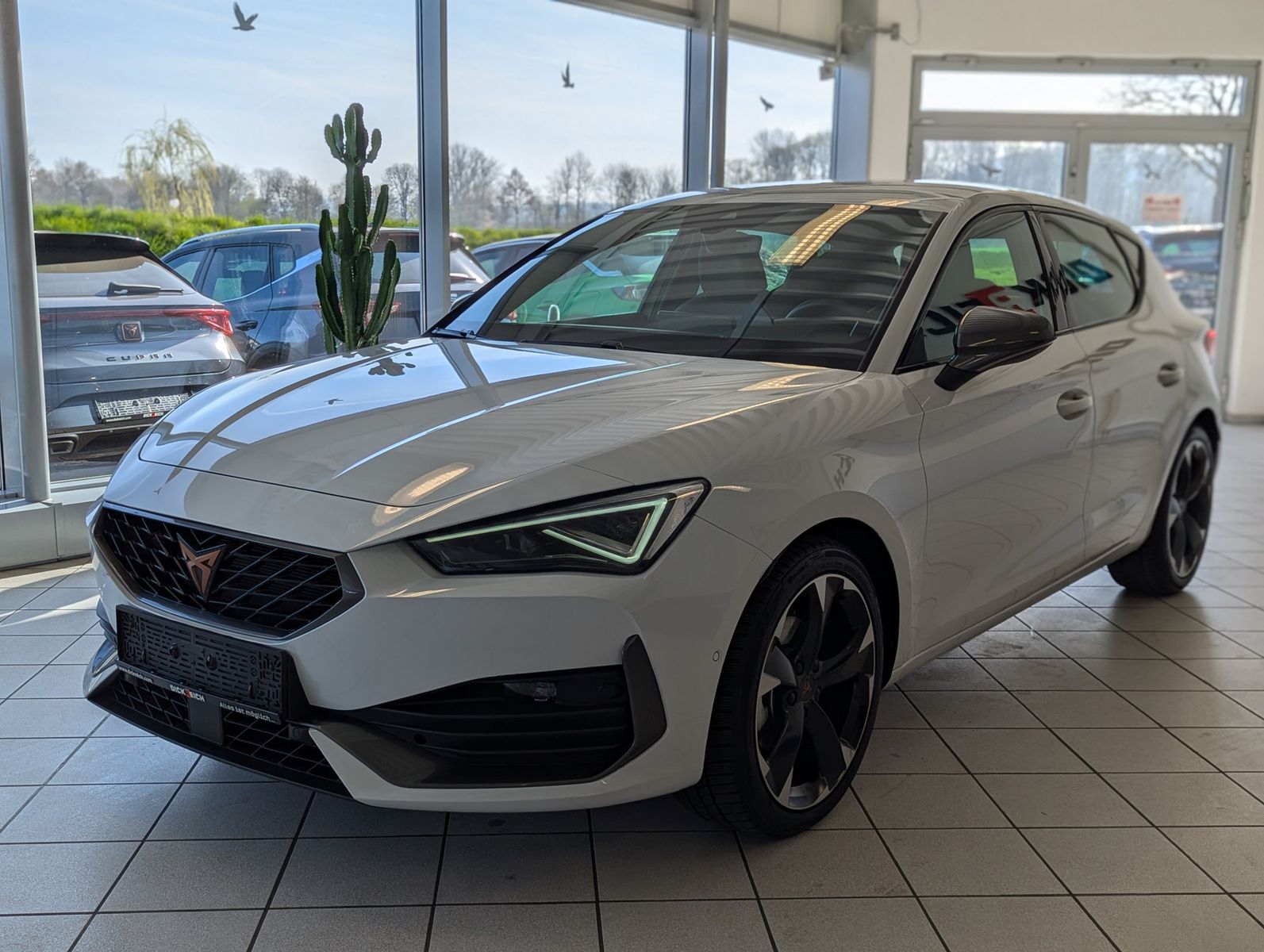 Fahrzeugabbildung CUPRA Leon 1.5 TSI DSG ACC Full-Link Matrix Navi Cam