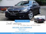 BMW 520d M Sport - Navi Prof., Alcantara, Euro6 - BMW 520: 520d Sport