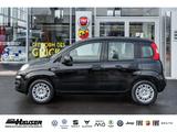 Fiat Panda MY26 Pandina ICON Hybrid 1.0 GSE SOFORT TE - Fiat Panda: Schwarz