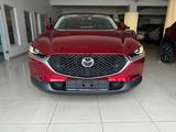 Mazda CX-30*Selection*2WD*122 AUT.*RFK*AHK*A18-S - Mazda CX-30 in Duisburg