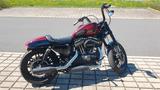 Harley-Davidson XL1200CX Sportster Roadster