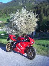 Ducati 998 Sonderedition - Offers